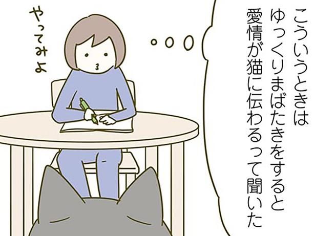 まばたきで愛を伝えたい！ （C）卵山玉子／KADOKAWA