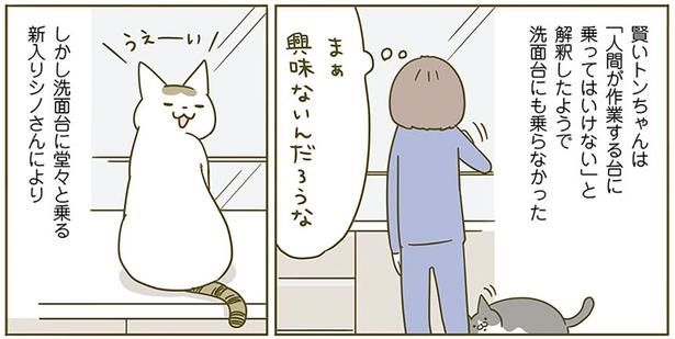 興味ないんだろうな （C）卵山玉子／KADOKAWA