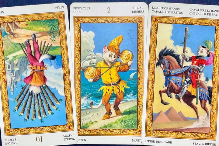 【獅子座】2026年10月19日〜10月25日運勢