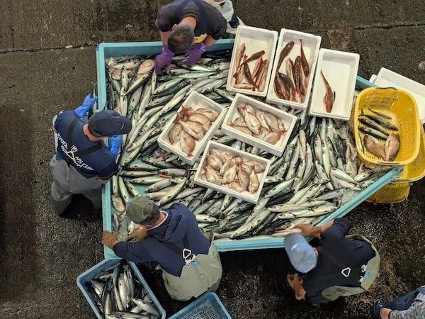 地魚の晩酌セットや釣り体験が特徴の一棟貸切「～港の宿～MARUTTO」が小田原にオープン！