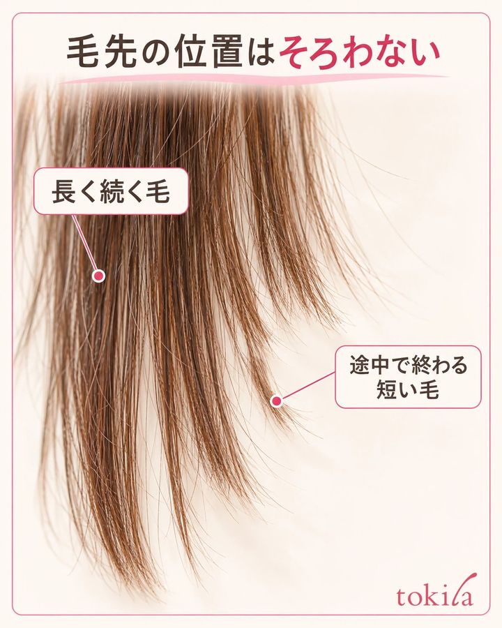 長い毛と途中で終わる短い毛が混ざる毛束の先端を近くで見ます。