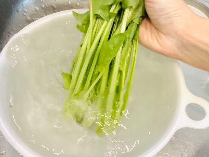 【ほうれん草】根元の砂までスッキリ落とす洗い方！洗ったつもりなのに「ジャリッ！」はもう卒業♪