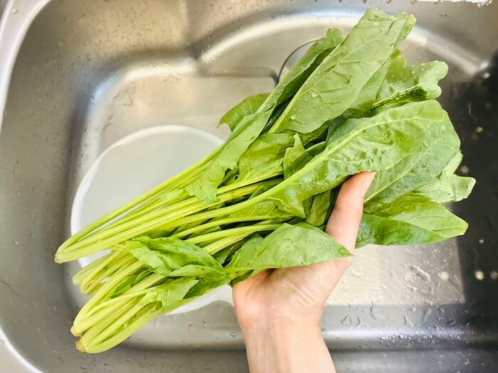 【ほうれん草】根元の砂までスッキリ落とす洗い方！洗ったつもりなのに「ジャリッ！」はもう卒業♪