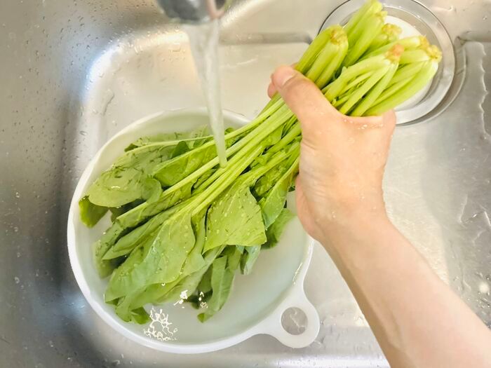 【ほうれん草】根元の砂までスッキリ落とす洗い方！洗ったつもりなのに「ジャリッ！」はもう卒業♪