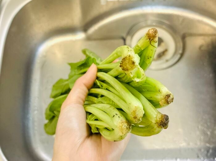 【ほうれん草】根元の砂までスッキリ落とす洗い方！洗ったつもりなのに「ジャリッ！」はもう卒業♪