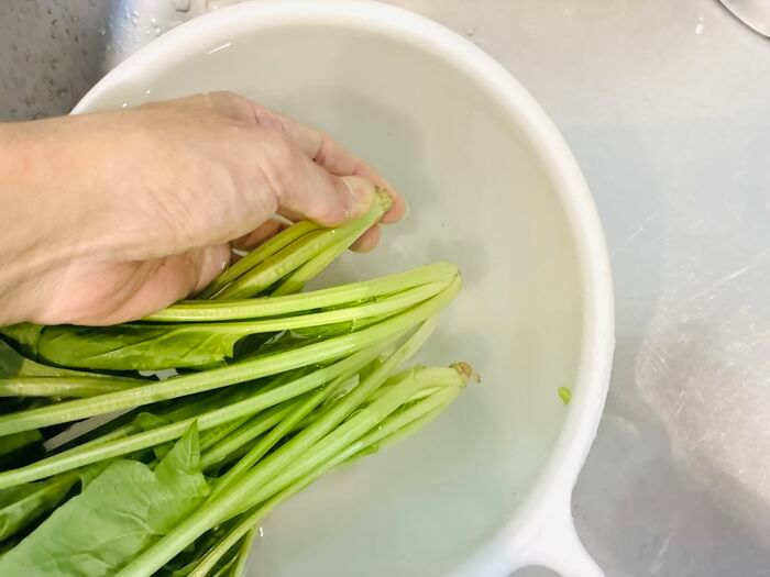 【ほうれん草】根元の砂までスッキリ落とす洗い方！洗ったつもりなのに「ジャリッ！」はもう卒業♪