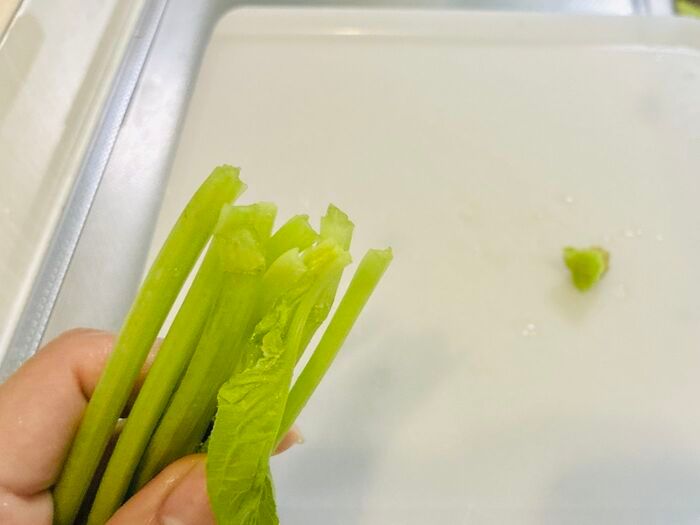 【ほうれん草】根元の砂までスッキリ落とす洗い方！洗ったつもりなのに「ジャリッ！」はもう卒業♪