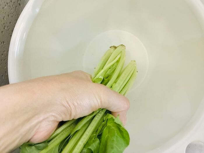【ほうれん草】根元の砂までスッキリ落とす洗い方！洗ったつもりなのに「ジャリッ！」はもう卒業♪