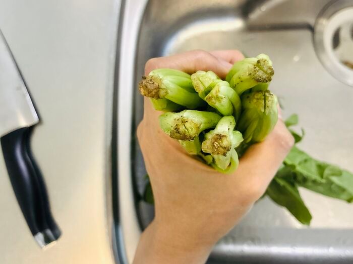 【ほうれん草】根元の砂までスッキリ落とす洗い方！洗ったつもりなのに「ジャリッ！」はもう卒業♪