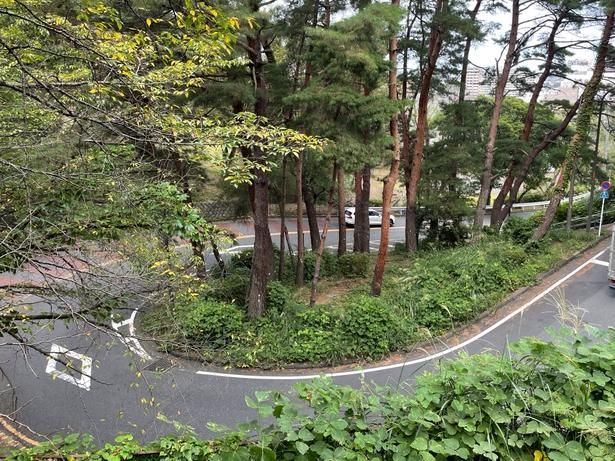 自転車でこのエリアを巡ってみると、聖司くんの脚力のすごさを痛感できる