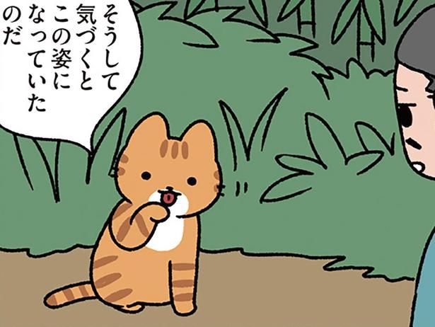 ねこに変身した友人 （C）ぱんだにあ／KADOKAWA
