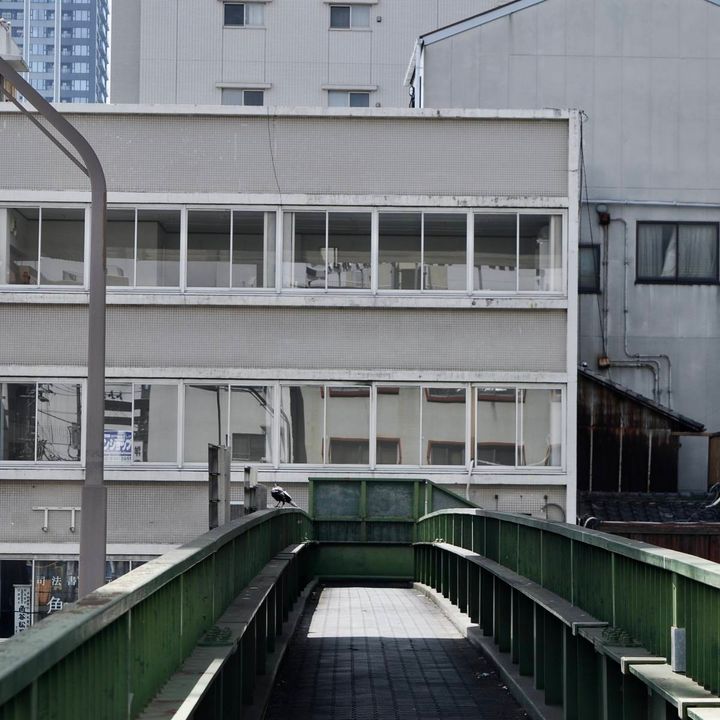 緑色の手すりに囲まれた歩道橋。正面に建物が並び、手すりの上に一羽の鳥がとまっている。