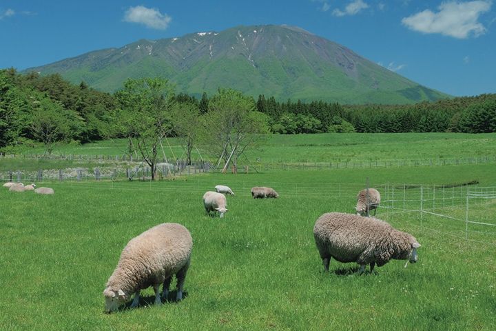 雫石ツーリングで立ち寄りたい7スポット！岩手山の絶景から無料の足湯まで