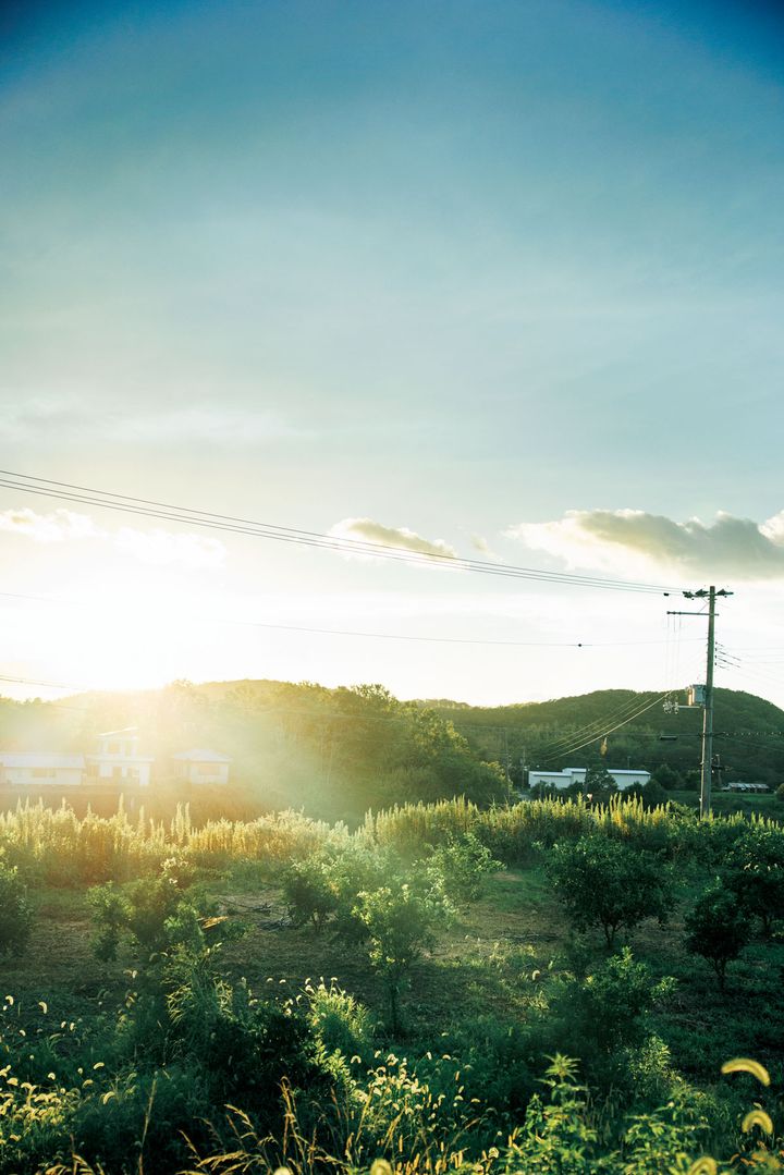 淡路島の風景