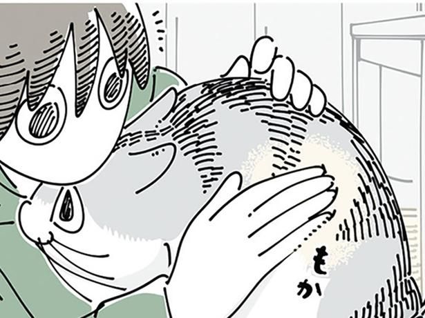 触り心地 （C）キュルZ／KADOKAWA