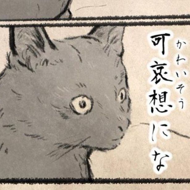 人間は明日も仕事か？可哀想にな 画像提供：キジネコ様(@Motidukineko)