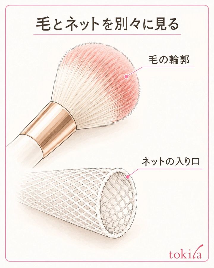 毛の輪郭とネットの入り口を別々に確認します。