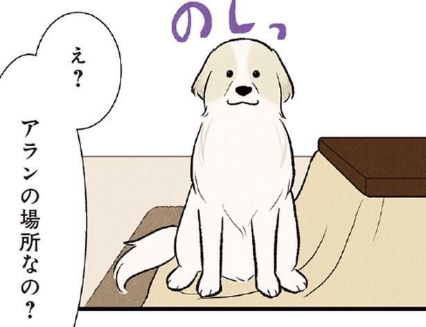 こたつを片付けたい飼い主 VSまだ入りたい大型犬。攻防の行方は？ （C）今日のルンルン、黒羽沙乃／KADOKAWA