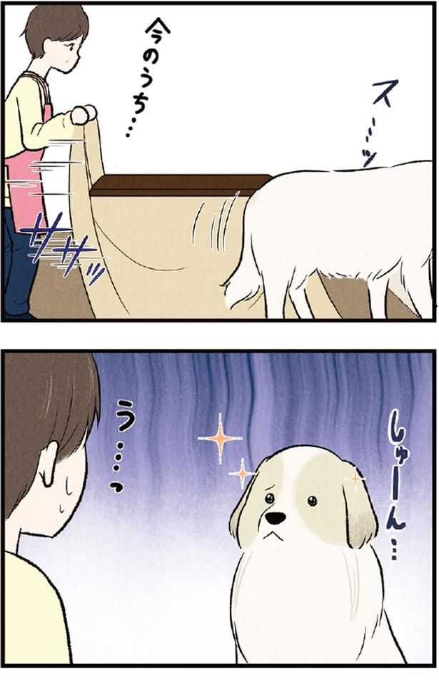 今のうち... （C）今日のルンルン、黒羽沙乃／KADOKAWA