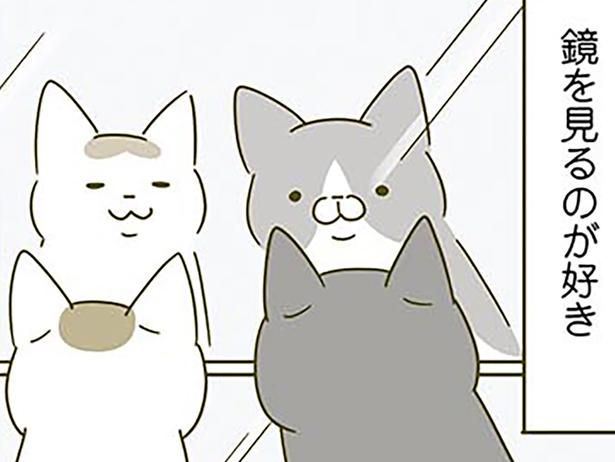 鏡を見るのが好きな猫たち （C）卵山玉子／KADOKAWA