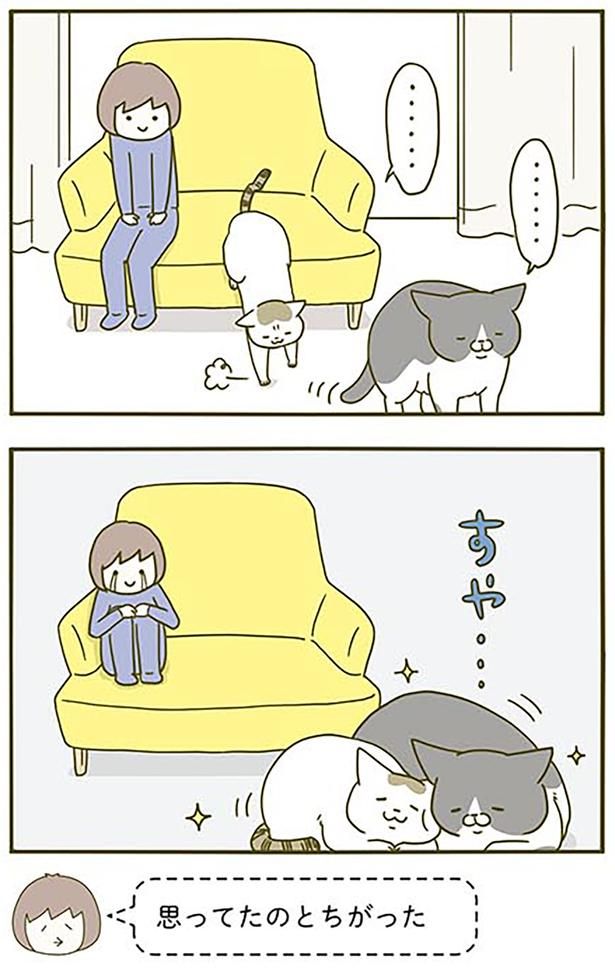 すや… （C）卵山玉子／KADOKAWA