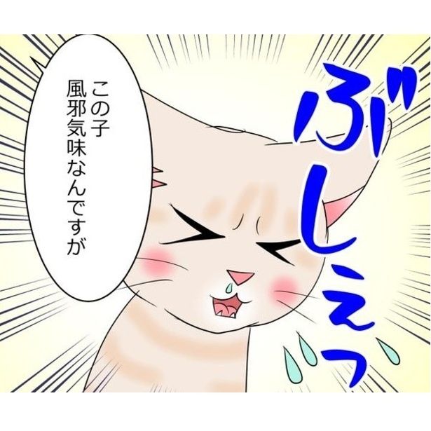 猫が来た日 画像提供：暁龍さん