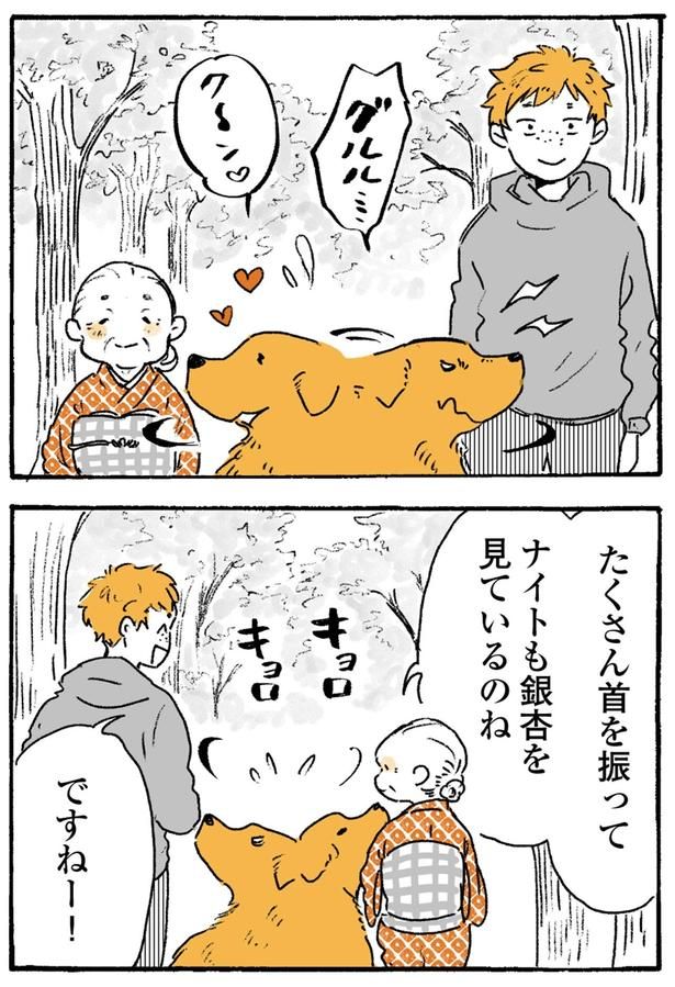 ナイトも銀杏を見ているのね （C）佐倉イサミ／KADOKAWA