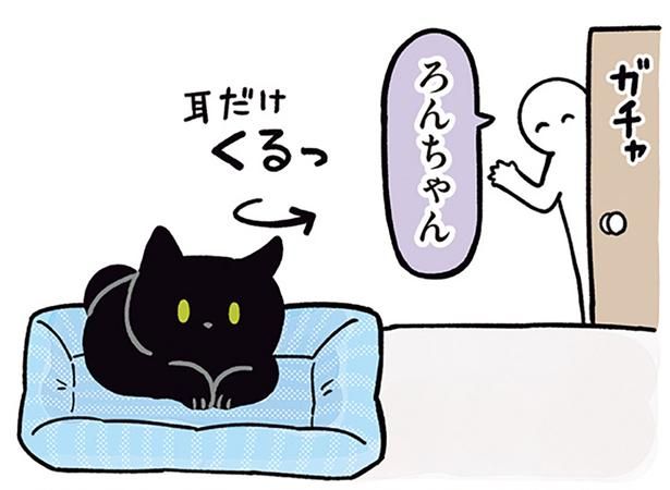 耳だけくるっ （C）AKR／KADOKAWA