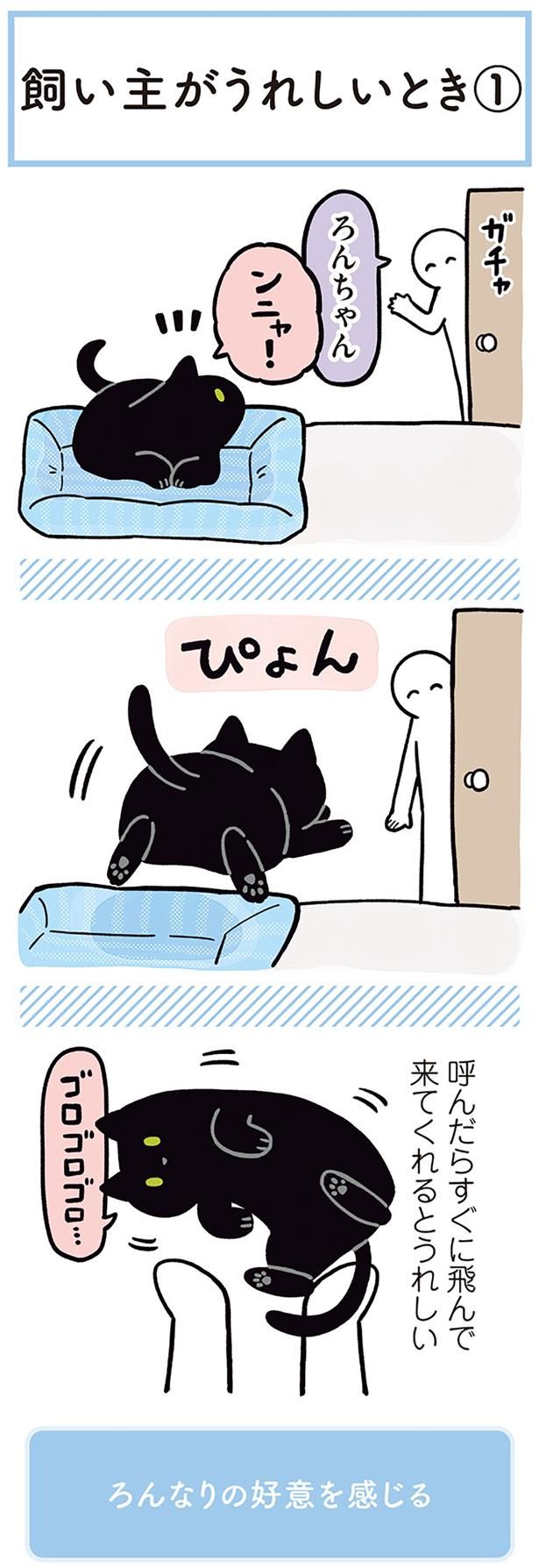 呼んだらすぐに飛んで来てくれるとうれしい （C）AKR／KADOKAWA