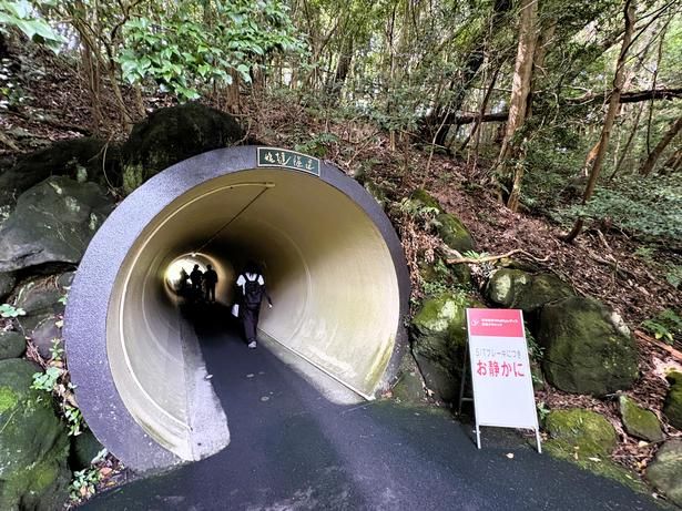 途中、トンネルが出現！