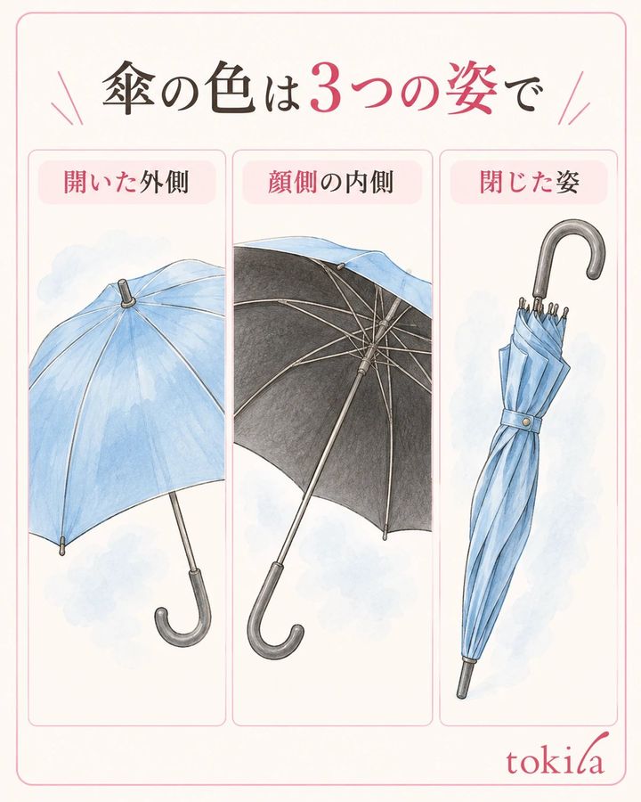 開いた外側、顔側の内側、閉じた姿を分けて色を見ます。