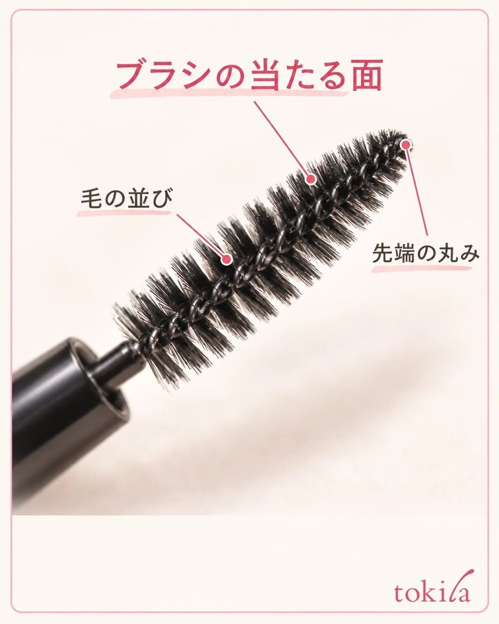 ブラシの毛の並びと先端の丸みを近くで見ます。