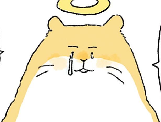 いい日になるさ （C）中山有香里／KADOKAWA