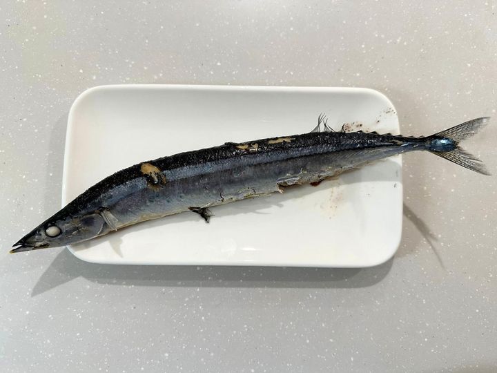 画像: 茹でても美味しいサンマ