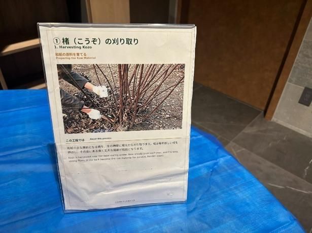 木から紙を作る体験はなかなかできない