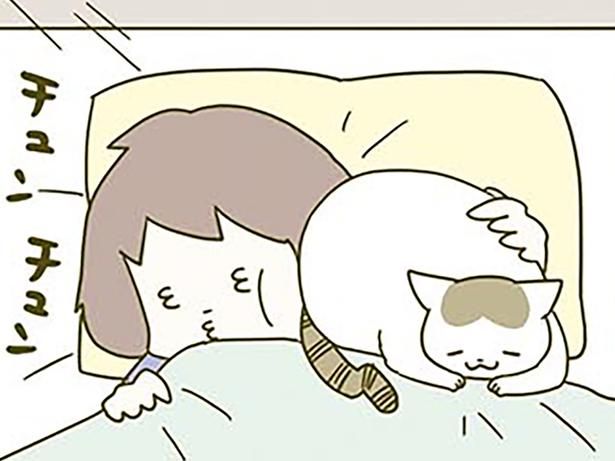 春の日の朝 （C）卵山玉子／KADOKAWA