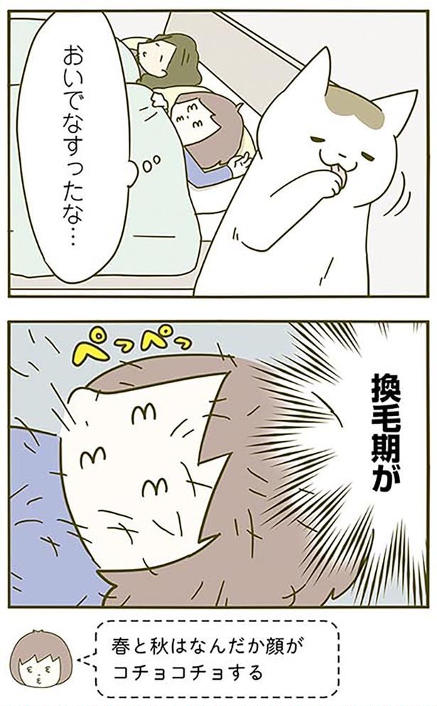 換毛期が （C）卵山玉子／KADOKAWA