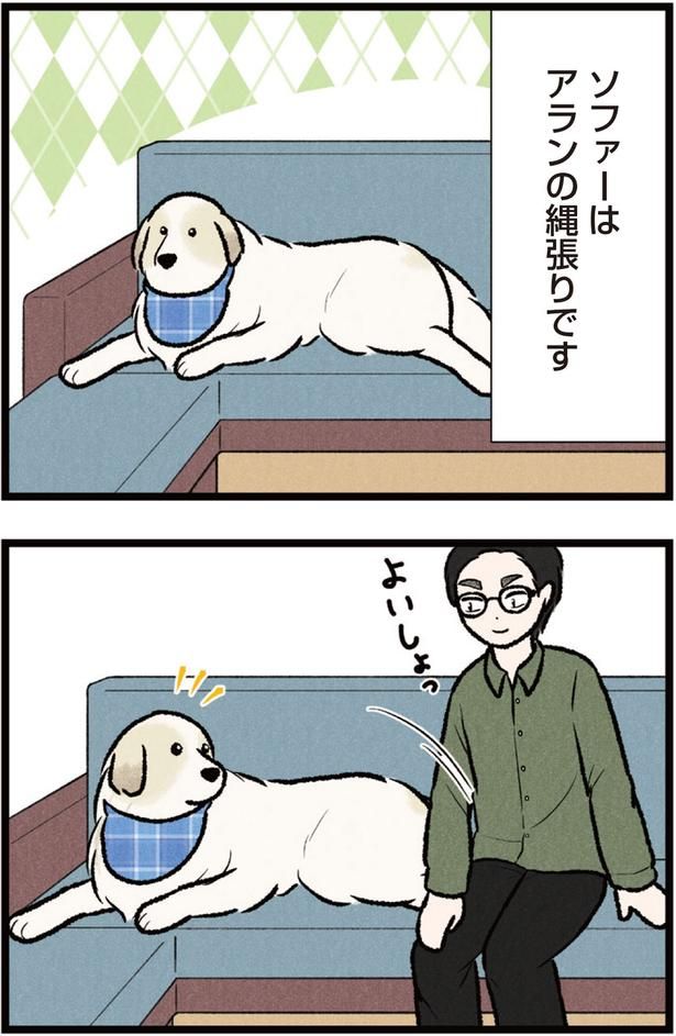 ソファーはアランの縄張りです （C）今日のルンルン、黒羽沙乃／KADOKAWA