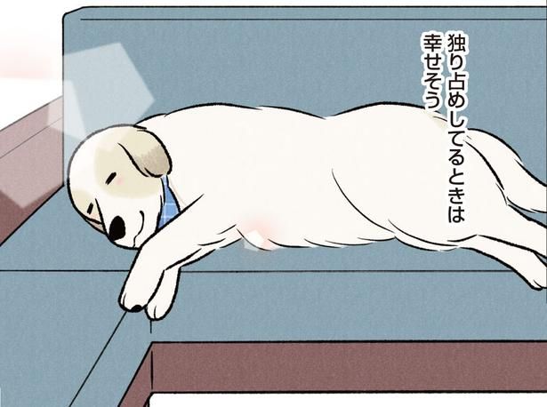 独り占めしてるときは幸せそう （C）今日のルンルン、黒羽沙乃／KADOKAWA