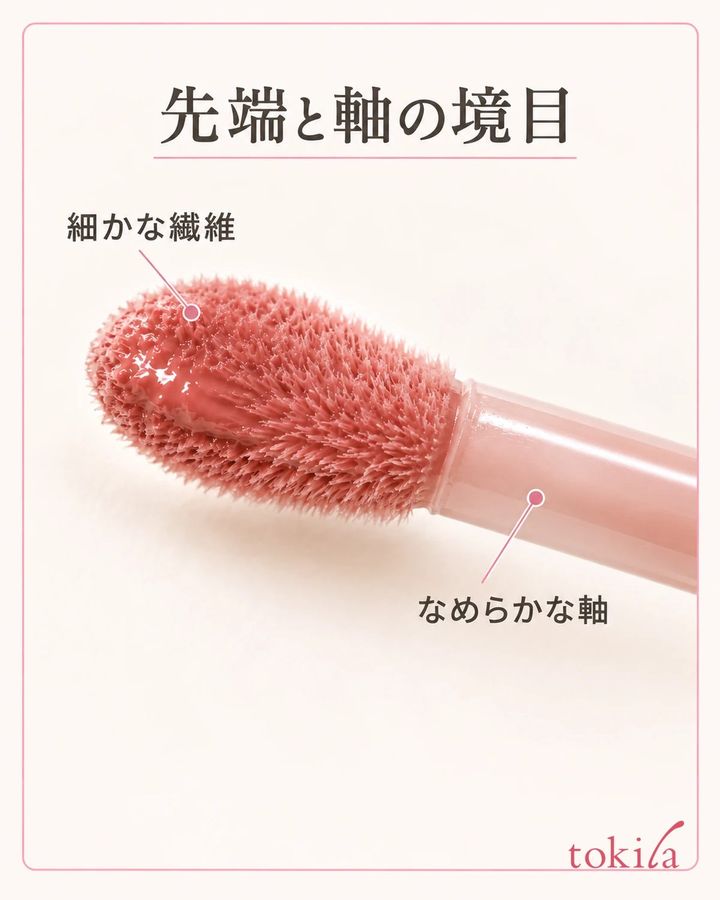 繊維のある先端と、なめらかな軸の境界を近くで見ます。