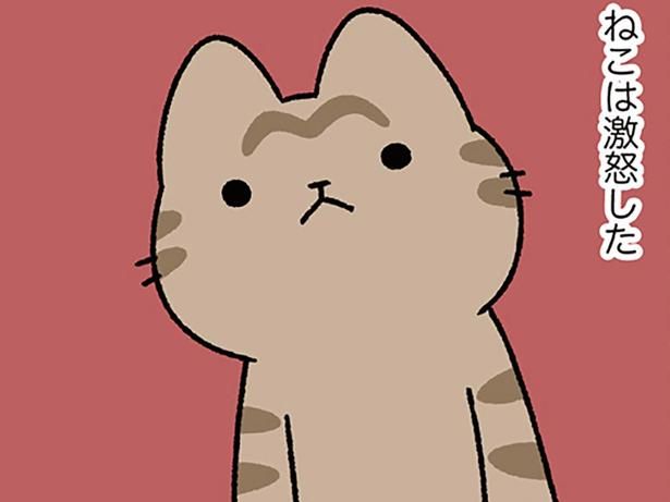 ねこには政治が分からぬが… （C）ぱんだにあ／KADOKAWA