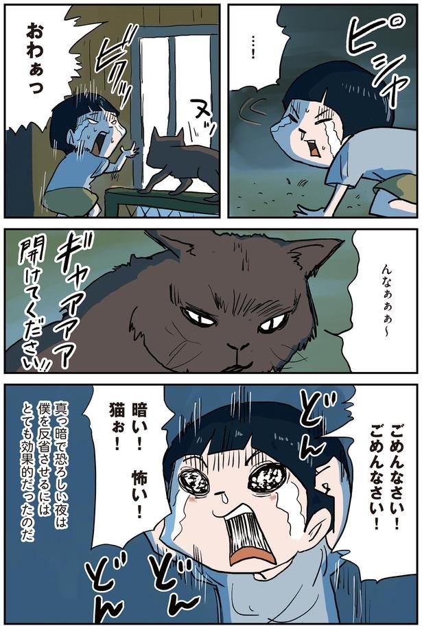 『しなのんちのいくる4』より （C）仲曽良ハミ／KADOKAWA