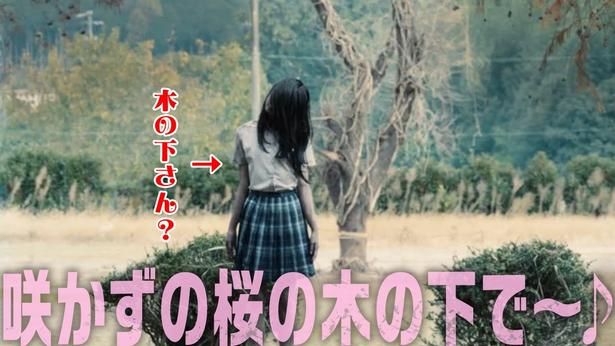 【写真を見る】不穏なメロディに乗せて、異様な気配を放つ1本の枯れ木が姿を現す「咲かずの桜の木の下で♪篇」 [c]「呪いのスマホ」製作委員会