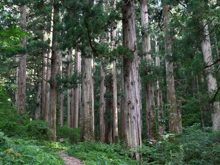 ゴルフ旅、メジャーな観光地に飽きたら「水辺の名所」はいかが？