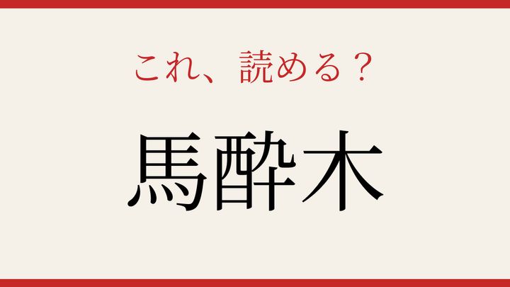 【難読漢字】あなたは読める？春の庭に咲く白い花の問題画像