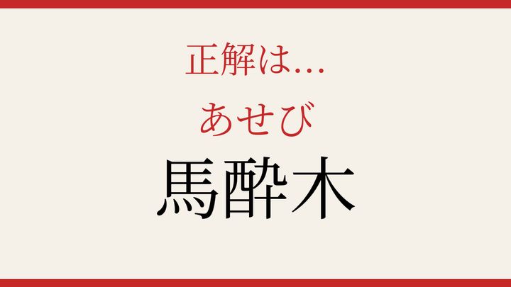 【難読漢字】あなたは読める？春の庭に咲く白い花の解答画像