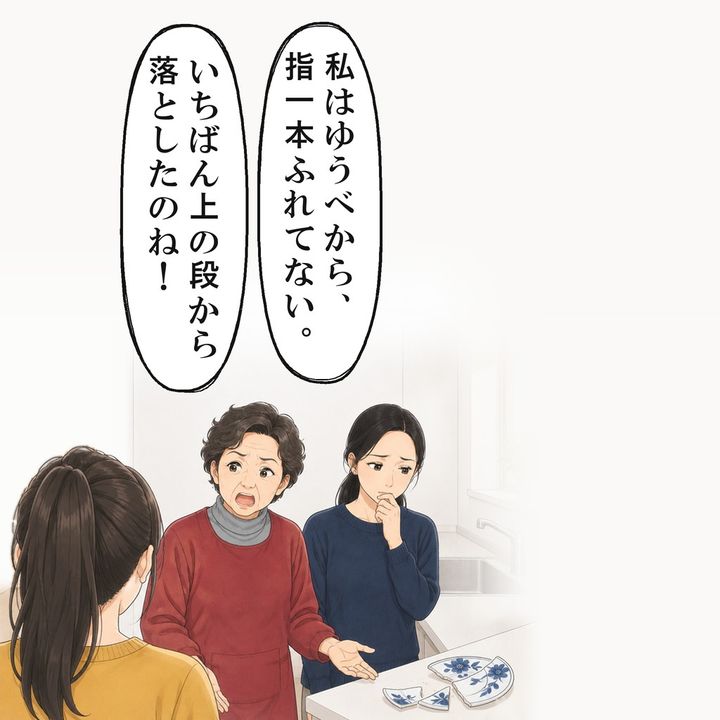 割れた大皿を、義母は私が落としたと言いました