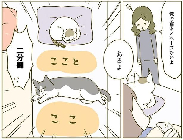 二分割 （C）卵山玉子／KADOKAWA