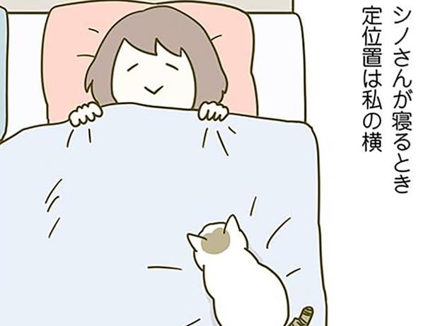 猫が寝る定位置は （C）卵山玉子／KADOKAWA