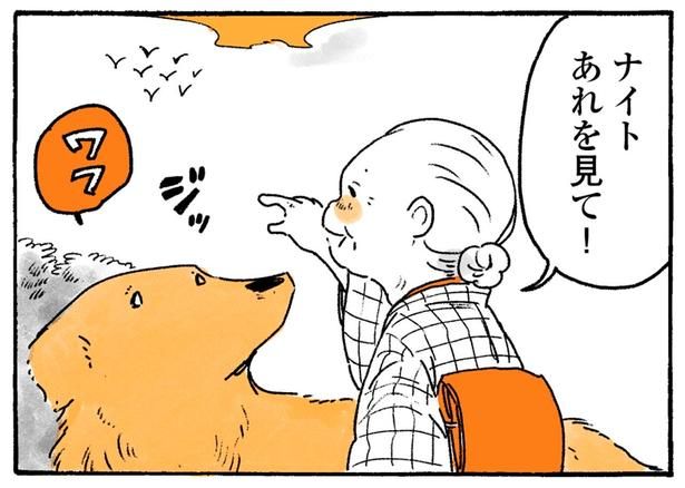 あれを見て！ （C）佐倉イサミ／KADOKAWA